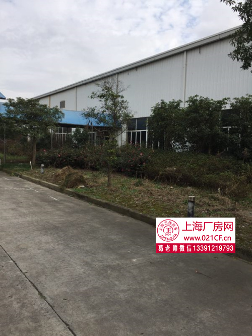  G1406 金山工业区单层厂房 高速出口 600平起租 单层带喷啉 厂房仓库出租