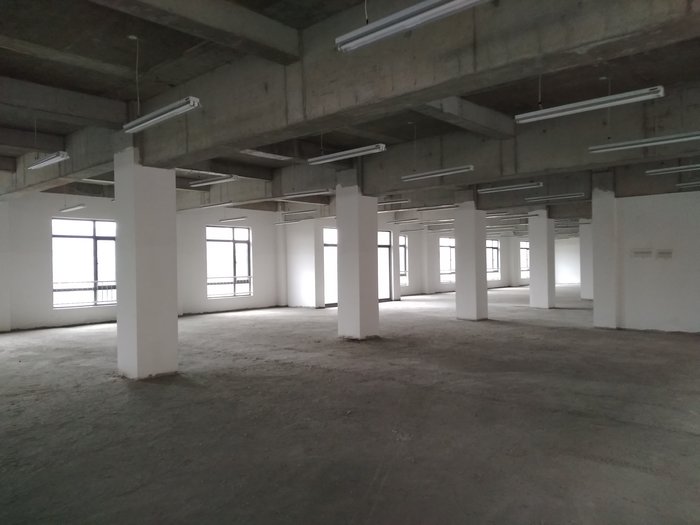 金山工业园区内漕泾独院带20吨行车2300平方米单层厂房仓库出租 场地大 价格低 (8).jpg