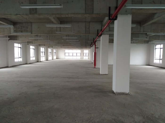 金山工业园区内漕泾独院带20吨行车2300平方米单层厂房仓库出租 场地大 价格低 (9).jpg