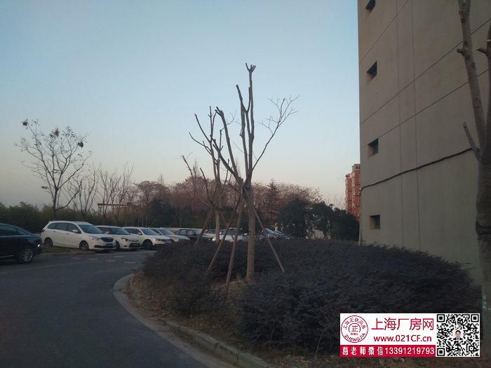 G1777 呼兰路站 开伦IMG_20171226_163751.jpg