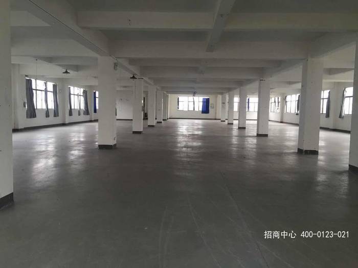 G2540 闵行与奉贤交界处金汇工业园区 金聚路  独门独院 3000平方米厂房 800平办公楼出租