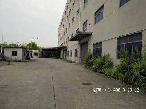 G2550 浦东上海外高桥保税区日樱南路标准仓库出租 可分租 