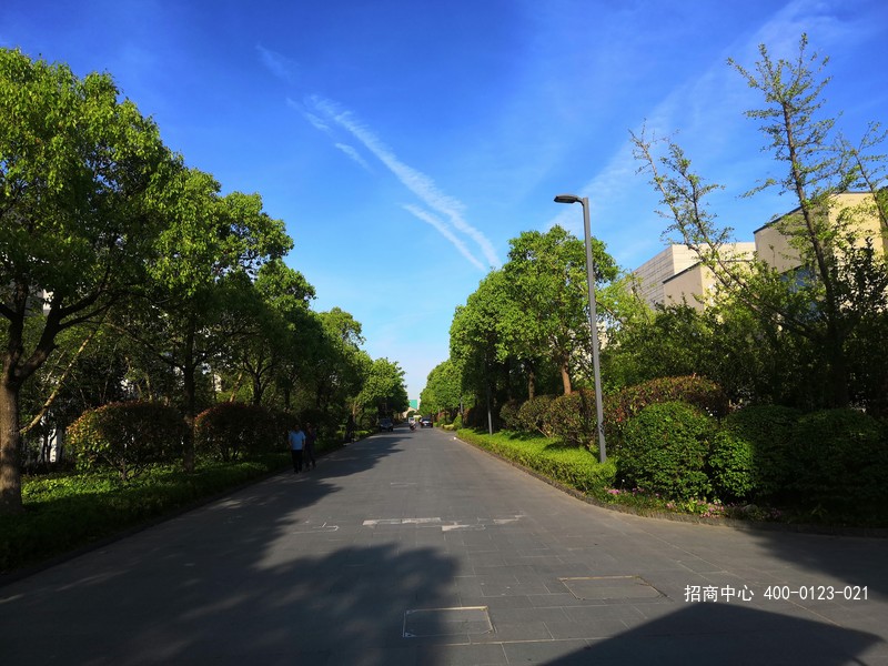 微信图片_20190726155625.jpg