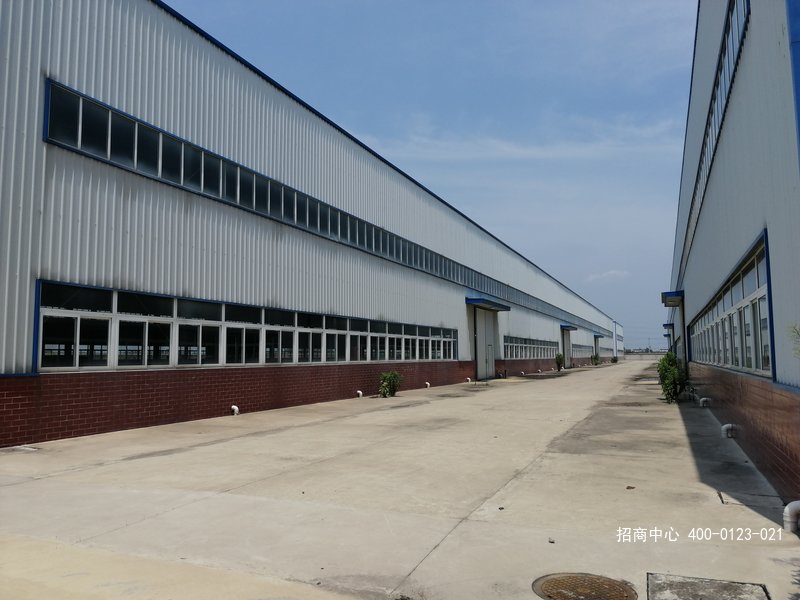 IMG_20190807_115814.jpg