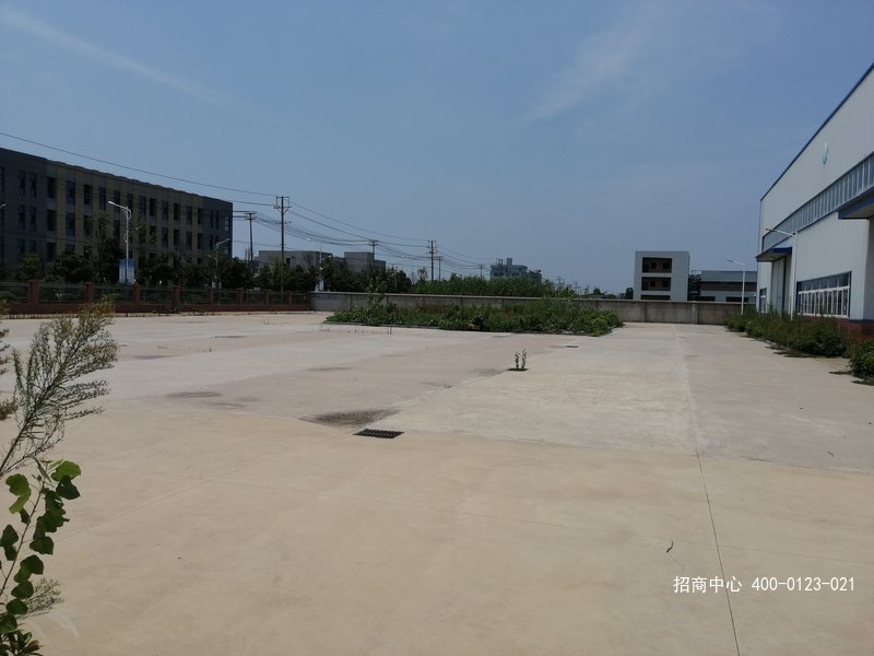 IMG_20190807_115817.jpg