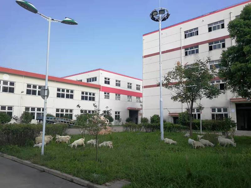 微信图片_20200105133813.jpg