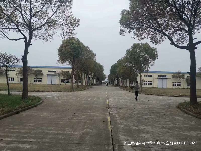 浦东周祝公路靠近申江路 单层厂房出租 (5).jpg
